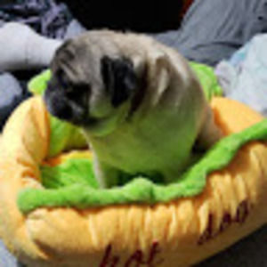 Meet your Posher, Julia